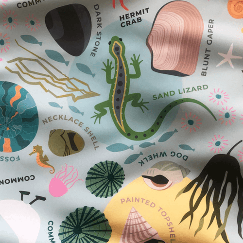 Beachcomber Beachcomber