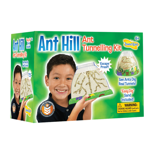 Insect Lore Ant Hill