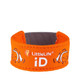 LittleLife Safety ID Strap Wristband