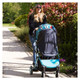 LittleLife Buggy Blackout - Grey