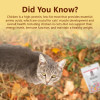 All Natural Cat Treats - Chicken