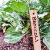 Gardening Gift Basket - Garden Retreat