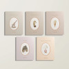 Our Little Library - Set of 5 Board Books