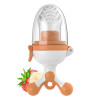 Baby Fruit Feeder and Teether
