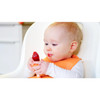 Baby Fruit Feeder and Teether
