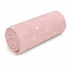 ballet baby blanket