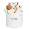 Organic Baby Gift Basket - Dino World