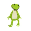 Organic Plush Frog Toy