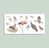 Our Big Book of First Words - Animals