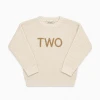 two year old birthday sweater
