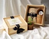 Bonsai Tree Growing Kit – Gift Set for Plant Lovers