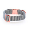 Stylish Collar for Small Dogs