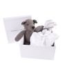 Organic Teddy Bear Gift Set