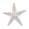 Organic Stuffed Starfish Toy