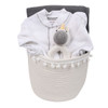 Affordable Organic Baby Gift Basket