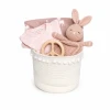 Baby Girl Gift Basket - Sweet Dreams - Pink