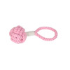 Dog Gift Basket - Dog Park Date - Pink
