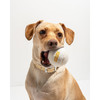 Playful Pup Gift Basket - Out of the Blue