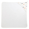 Organic Hooded Baby Towel - Dino Print