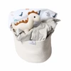 Dinosaur Baby Gift Basket for Boy - Dino Discovery
