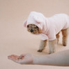 Pink Dog Towel