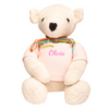 Custom Teddy Bear with Embroidered Name