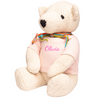 Organic Stuffed Bear with Custom Pink Shirt