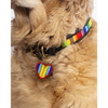 beautiful dog collar