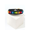 rainbow dog collar