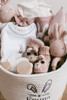 new baby bunny themed gift basket