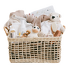 Luxury baby gift basket