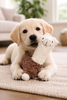 Organic Dog Toy Plush - Alpaca