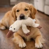 Organic Dog Toy Plush - Goose