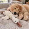 safe dog toys