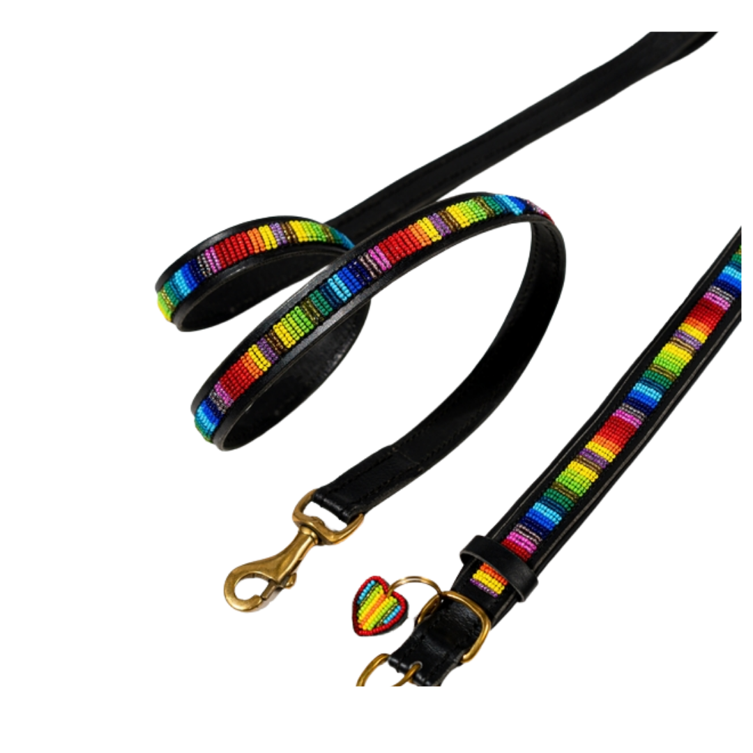 Luxury Dog Leash Handcrafted Bead and Leather Dog Leash Rainbow
