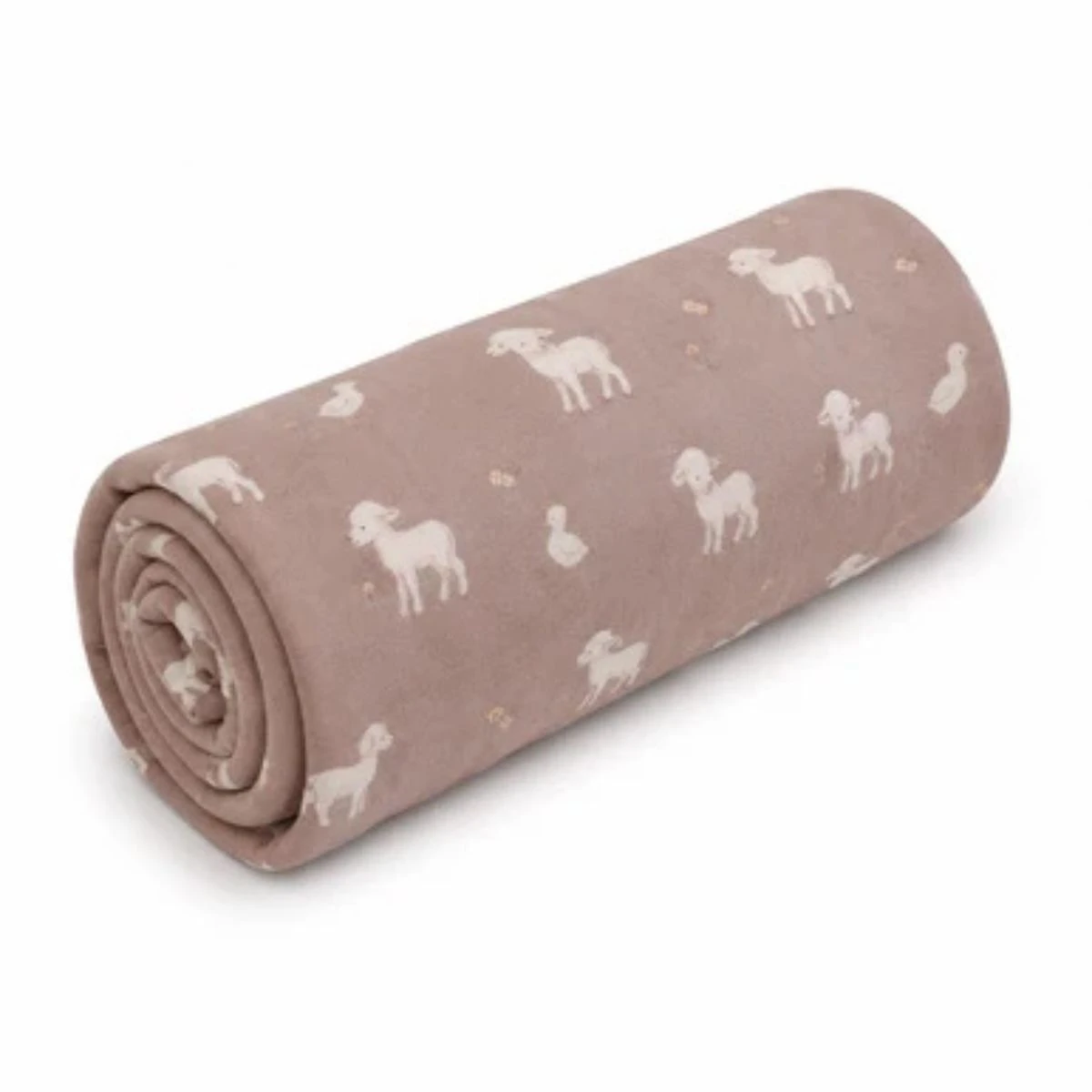 sheep blanket
