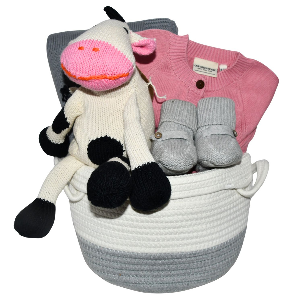 Upscale Baby Gift Basket - Over the Moon