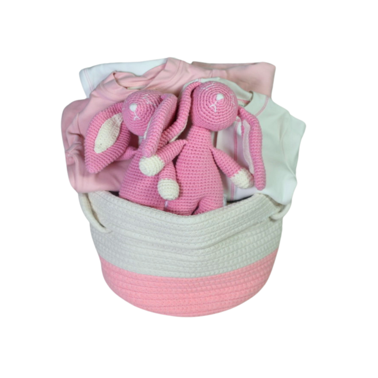 Twin baby gift basket