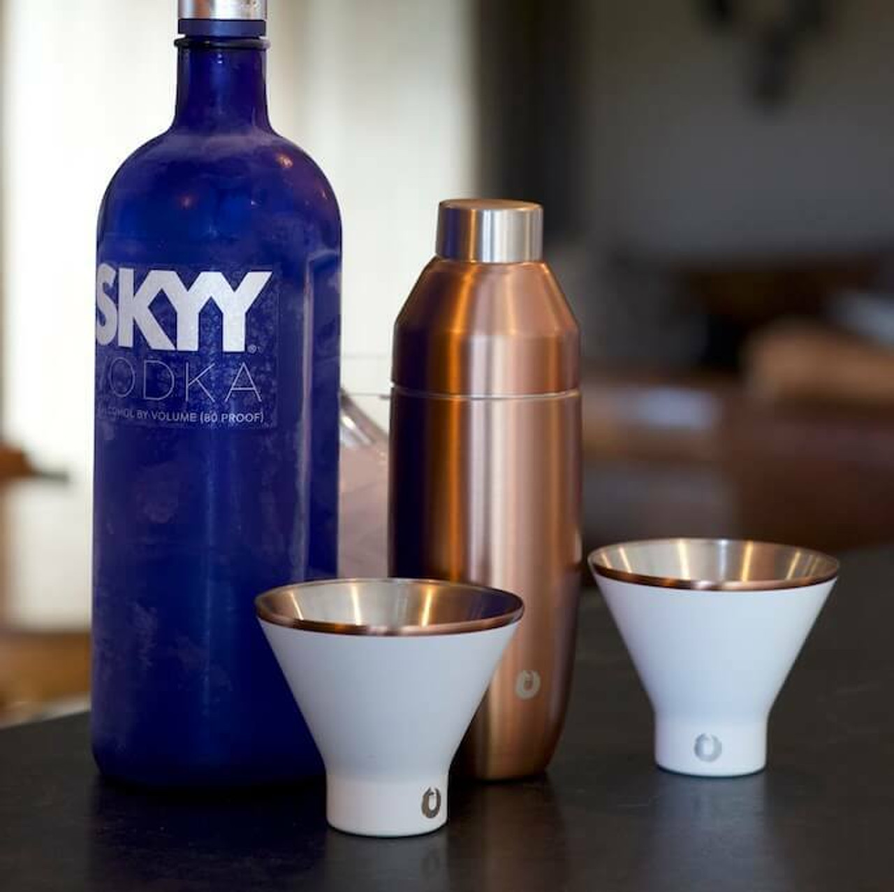 Stainless Steel Cocktail Shaker, Insulated Barware