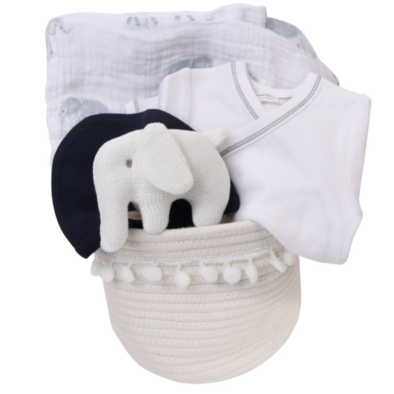 Unisex Baby Gift Basket - Safari Adventure