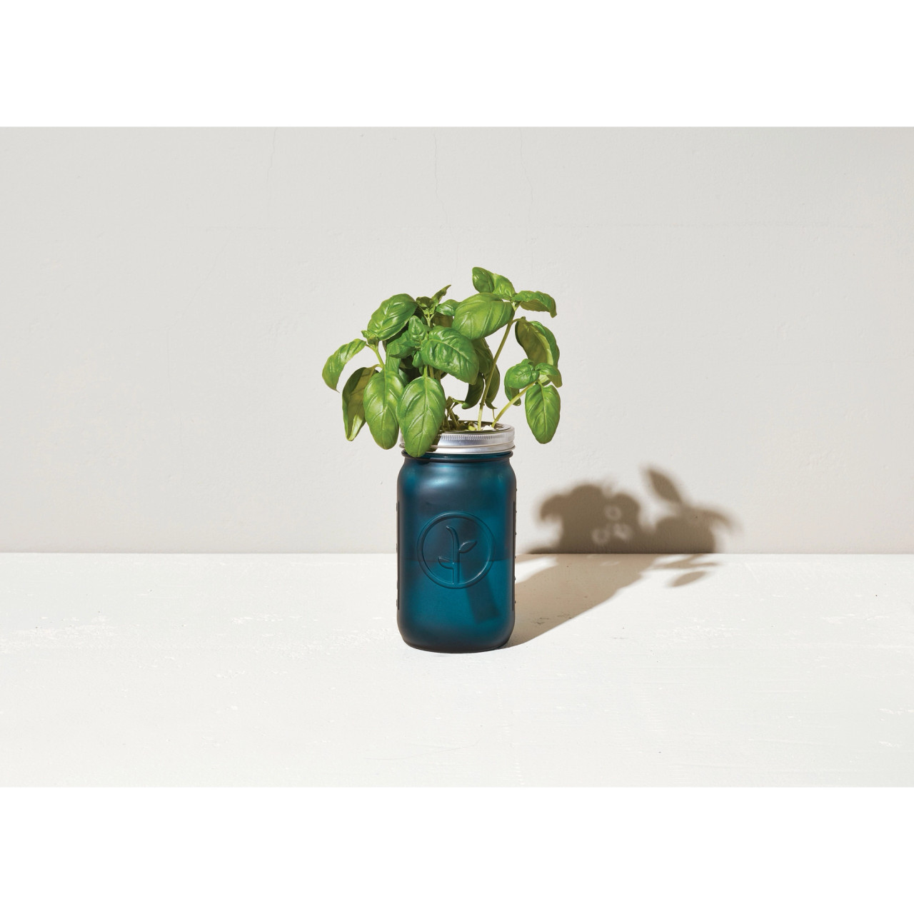 Self Watering Grow Kit Basil Unique Gifts