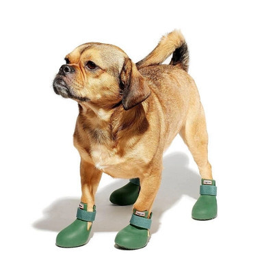 Pug Welly Boots For Dogs Dog Wellies Rubber Rainboots