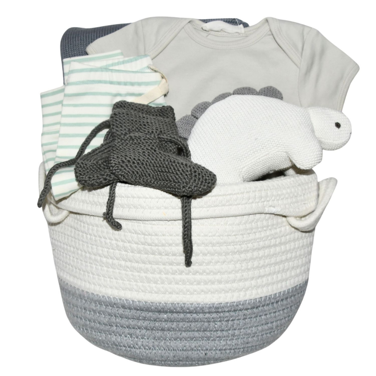 Dinosaur Baby Gift Basket - Snuggly Stegosaurus