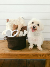 Get Well Soon, Pup: Thoughtful Gift Basket Ideas for Dogs in Recovery