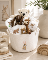 10 Best Baby Gift Baskets for New Parents in 2026