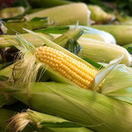 Farm Fresh Fridays - Easy Corn on the Cob