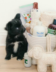 How to Choose the Perfect Dog Gift Basket: A Pet Owner's Guide