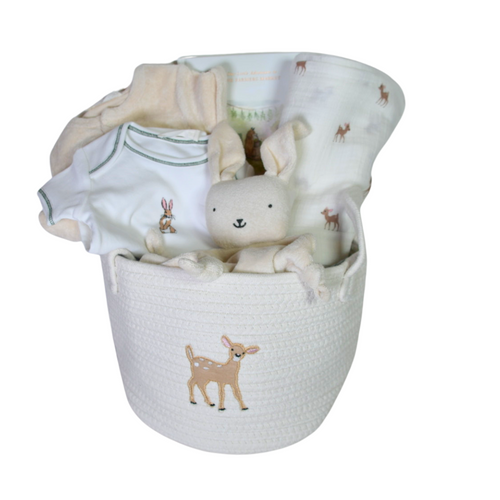 Organic Baby Gift Basket - Woodland Adventures