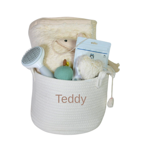 Cat Gift Basket - Curious Kitty