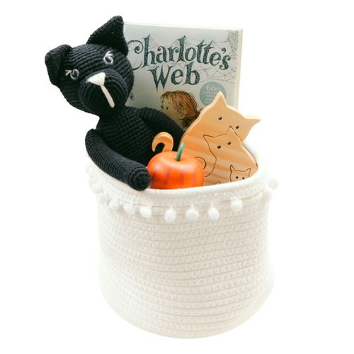 Fall Baby Gift Basket - Spooky Season